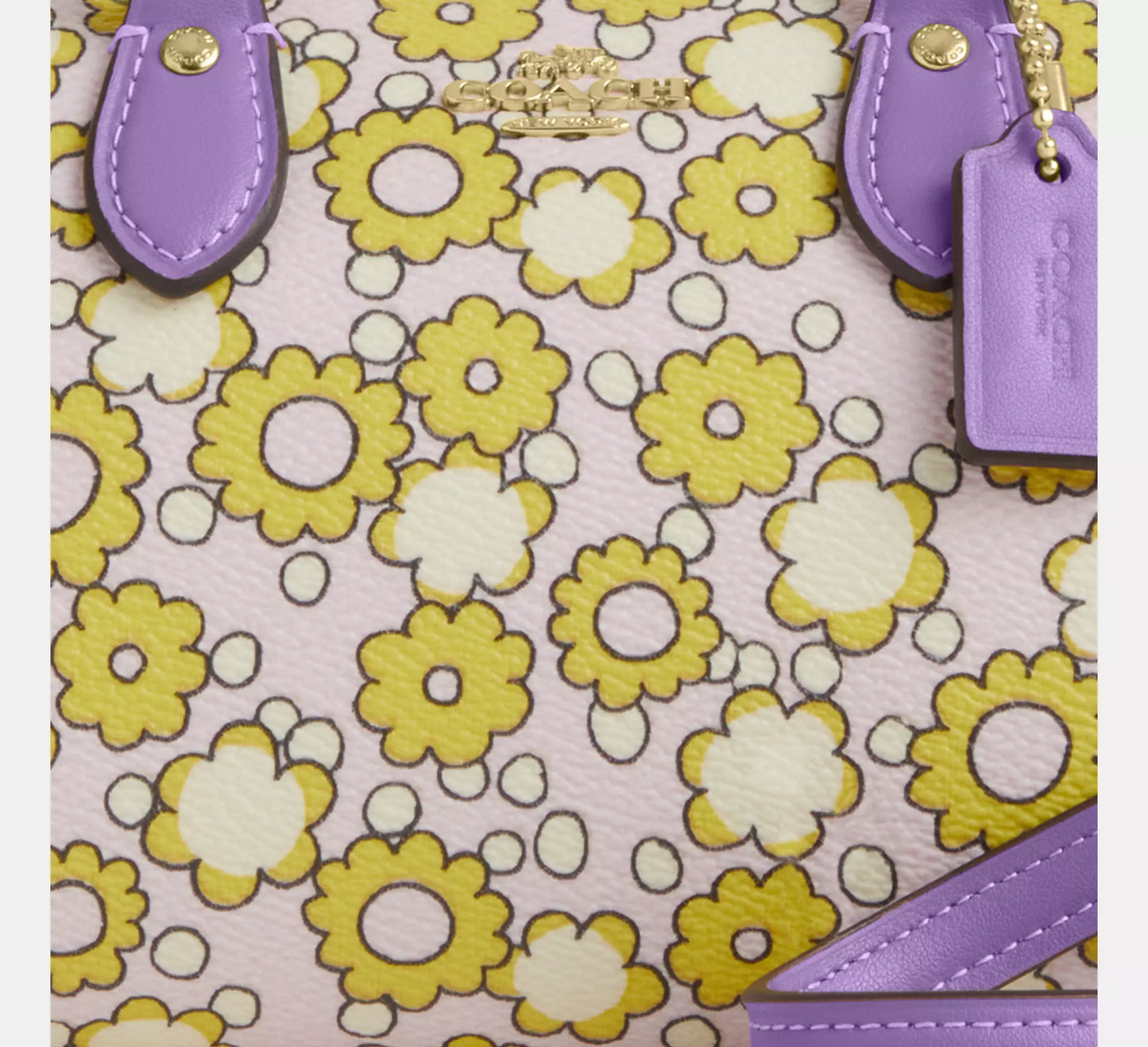 Coach - Mini Rowan Crossbody Bag With Floral Print (Preorden)