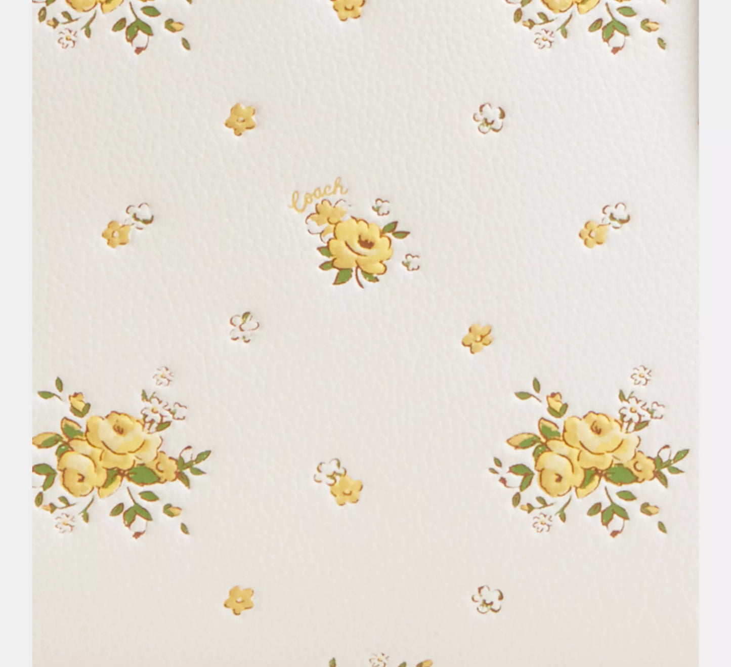 Coach - Mollie Tote Bag With Floral Print (Preorden)