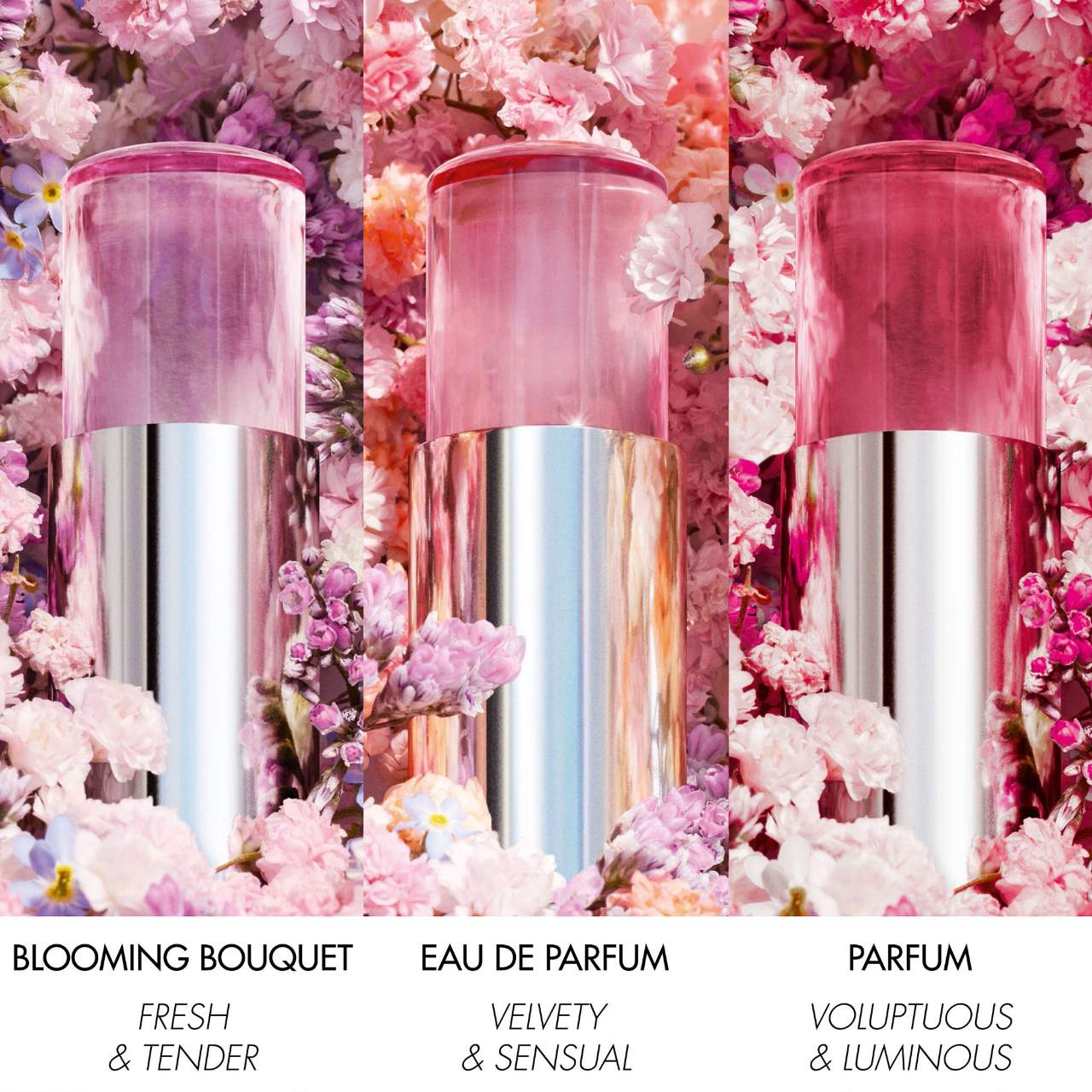 Dior - Miss Dior Mini Miss Blooming Bouquet Solid Perfume (Preorden)