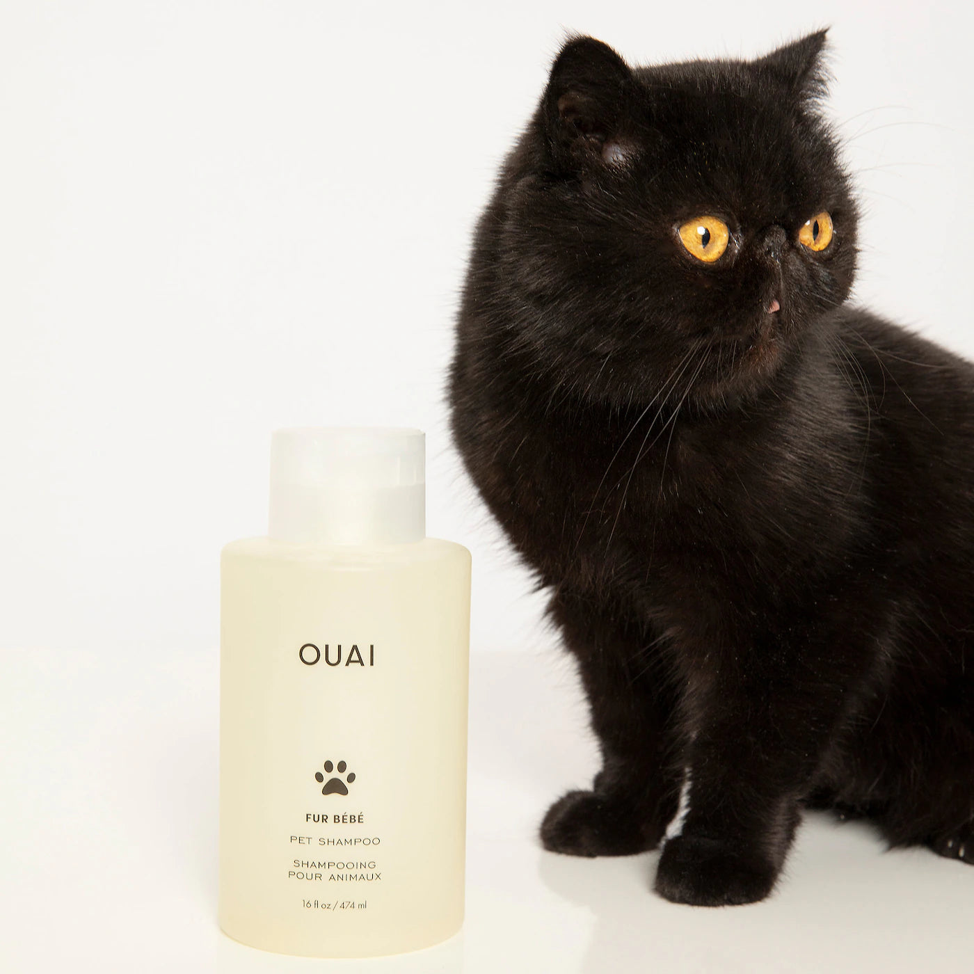 Ouai - Pet Shampoo (Preorden)