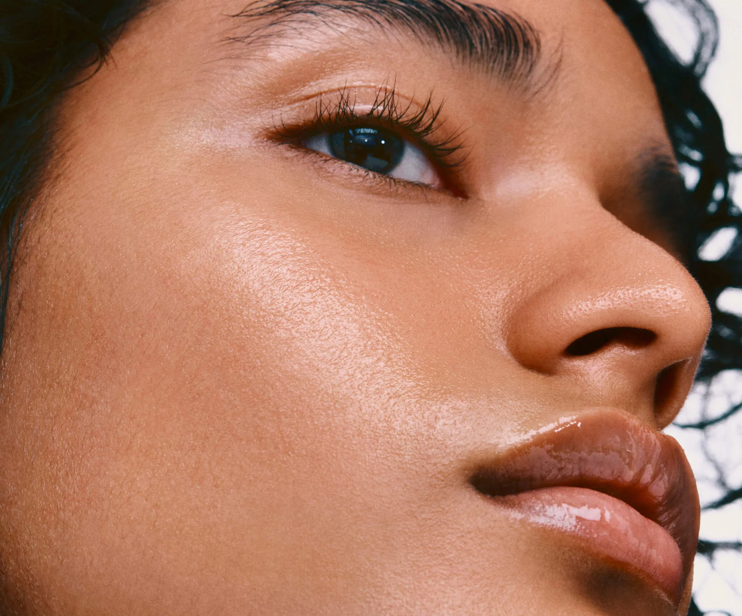 Rhode - The rhode kit (Preorden)