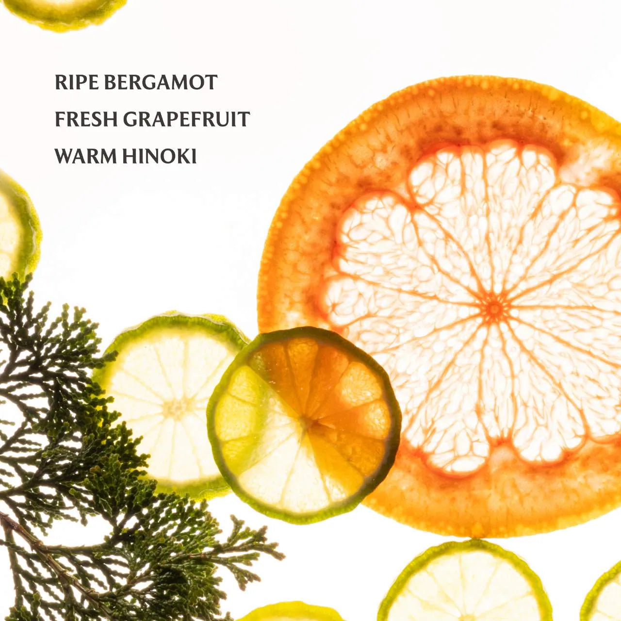 Touchland - Essence Body & Hair Fragrance Mist 60 ml (Preorden)