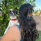 Chunks - Medium Box Hair Claw Clip (Preorden)