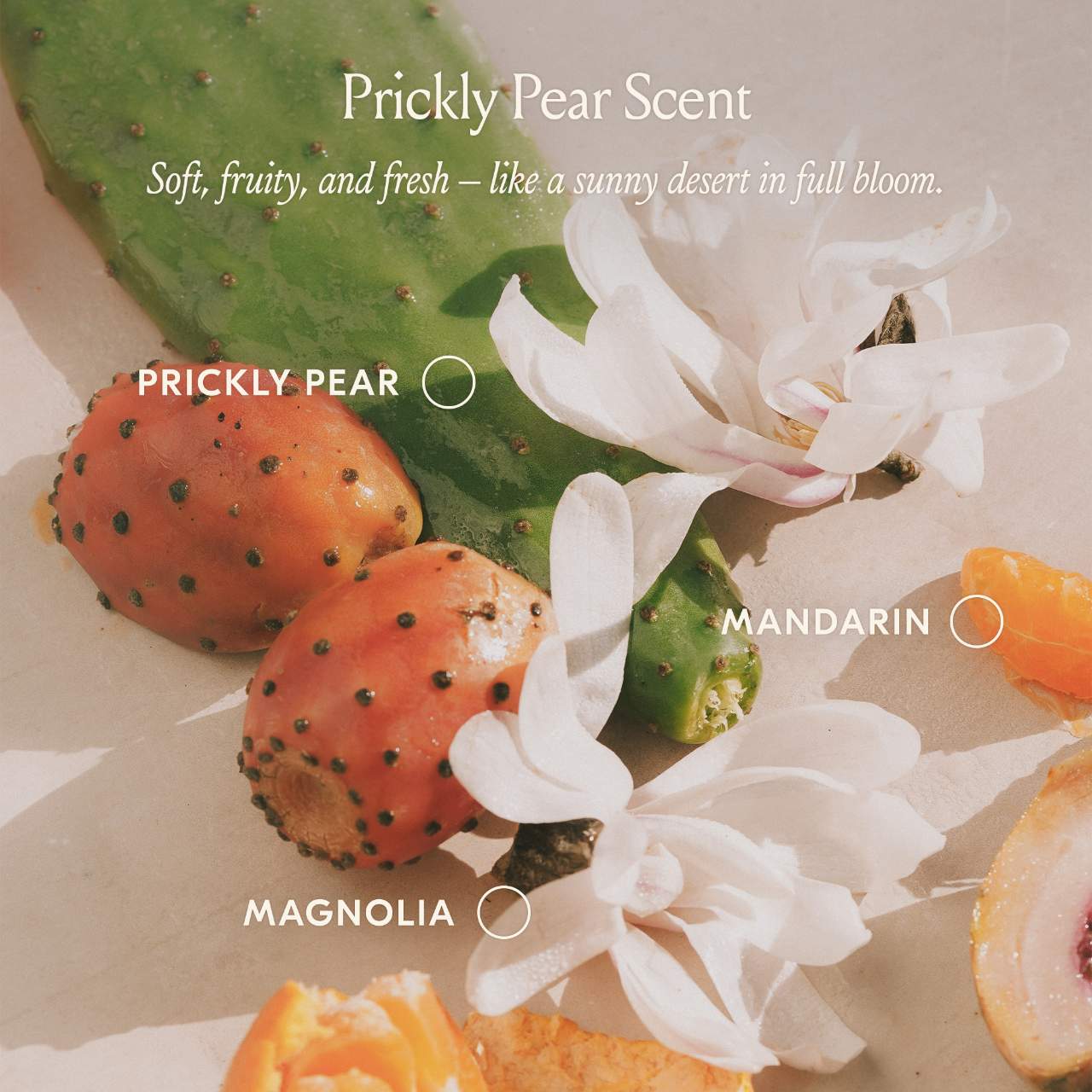 Dae - Prickly Pear Hair Oil (Preorden)